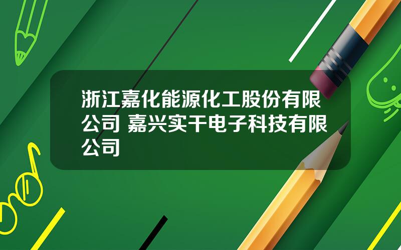 浙江嘉化能源化工股份有限公司 嘉兴实干电子科技有限公司